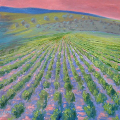 New Arrivals - Eric Soll