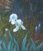 Eric Soll - Irises #2
