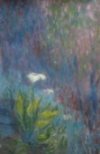 Eric Soll - One White Flower
