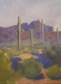 Eric Soll - Arizona Superstition Mountains