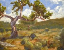 Eric Soll - Spanish Oak